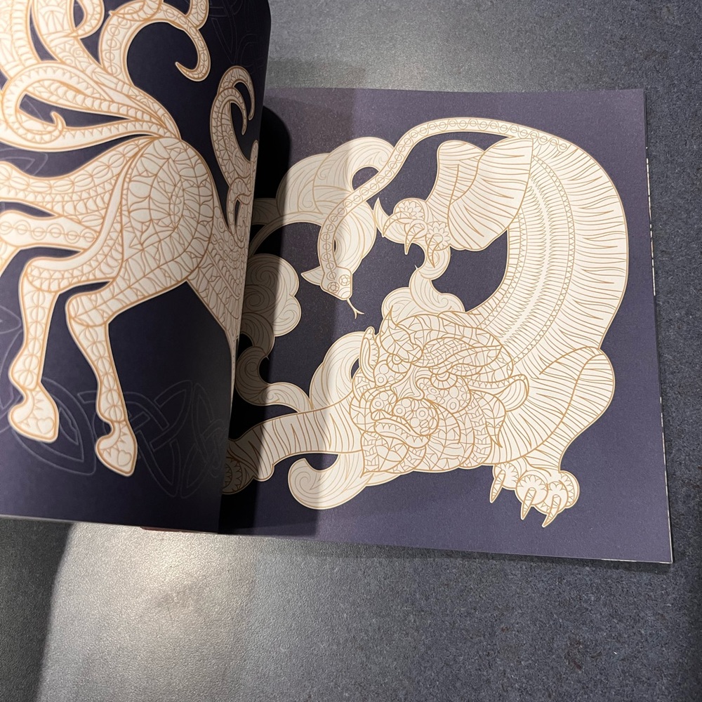 FABULOUS BEASTS:  Night and Day Adult Coloring Book  NEW - Picture 10 of 14